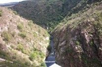 Dique la Viña