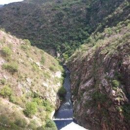 Dique la Viña