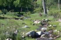 Quebrada del Toro Muerto