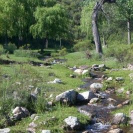 Quebrada del Toro Muerto