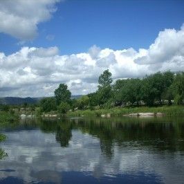Río Los Sauces